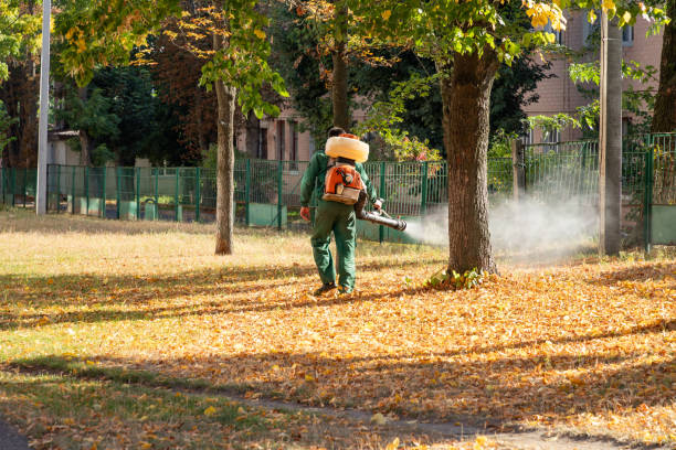 Best Bed Bug Extermination  in Weatherford, TX