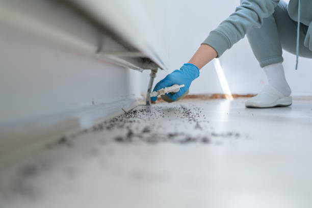 Best Affordable Pest Control Services  in Weatherford, TX
